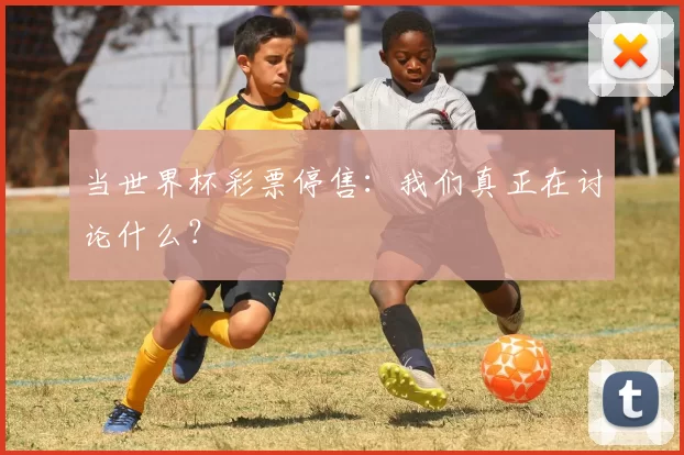 当世界杯彩票停售：我们真正在讨论什么？
