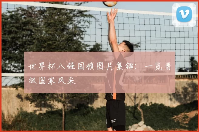 世界杯八强国旗图片集锦：一览晋级国家风采