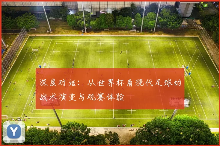 深度对话：从世界杯看现代足球的战术演变与观赛体验