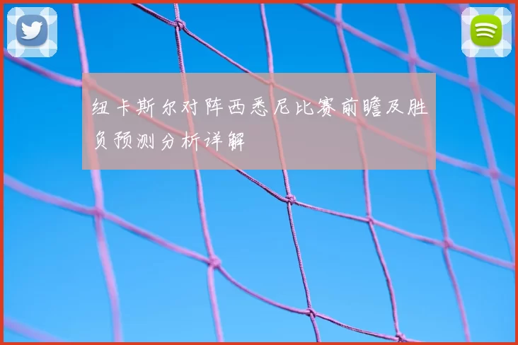 纽卡斯尔对阵西悉尼比赛前瞻及胜负预测分析详解