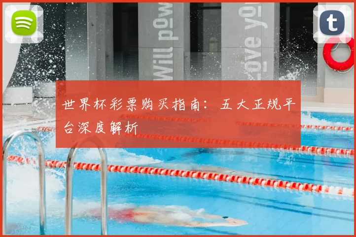 世界杯彩票购买指南：五大正规平台深度解析