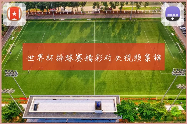 世界杯排球赛精彩对决视频集锦