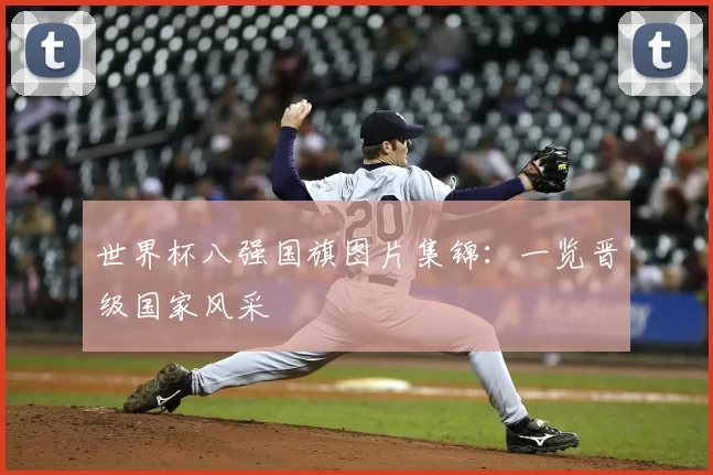 世界杯八强国旗图片集锦：一览晋级国家风采