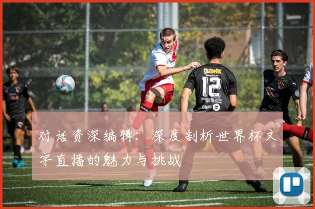 对话资深编辑：深度剖析世界杯文字直播的魅力与挑战