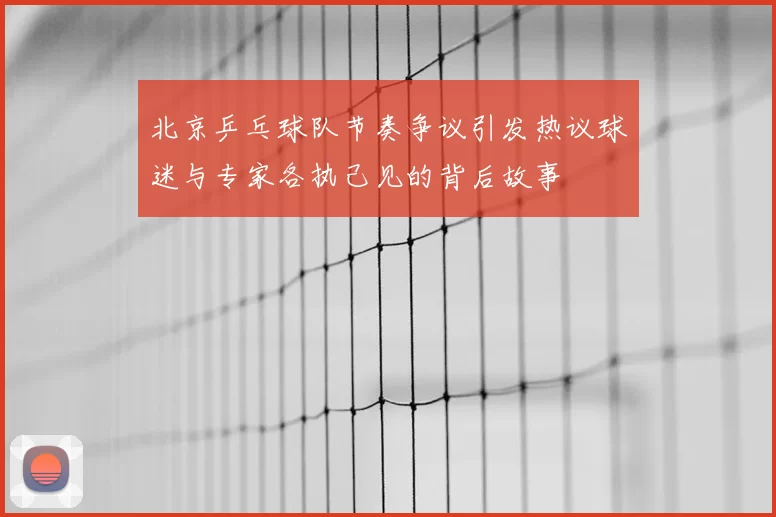 北京乒乓球队节奏争议引发热议球迷与专家各执己见的背后故事