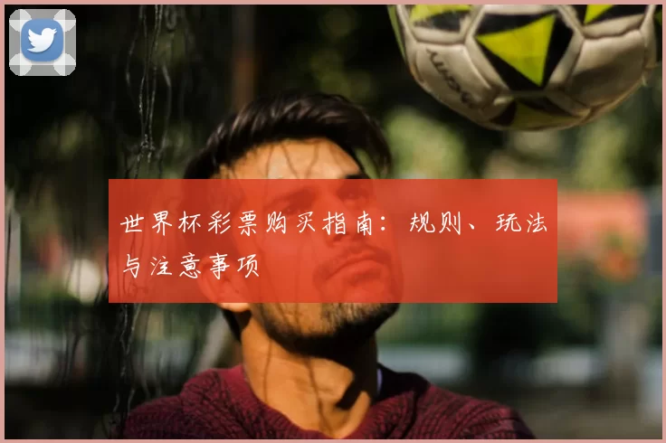 世界杯彩票购买指南:规则、玩法与注意事项