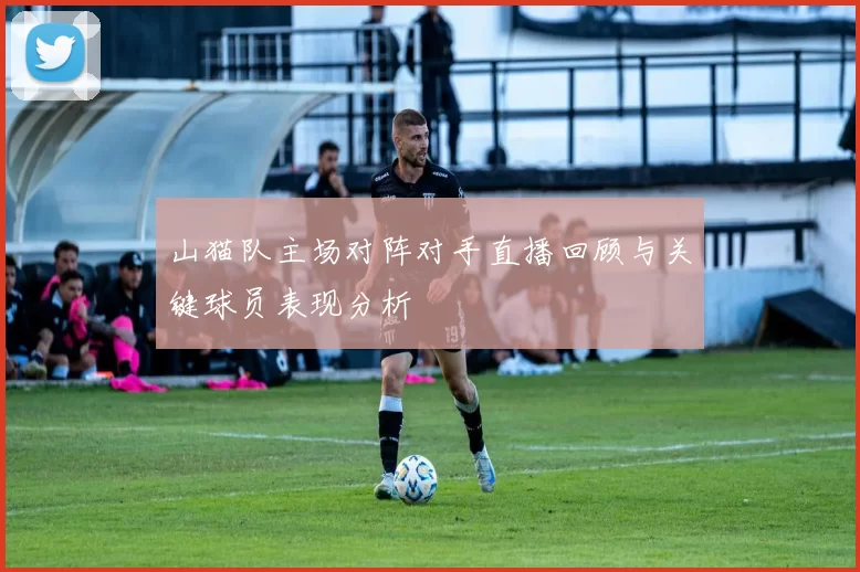 山猫队主场对阵对手直播回顾与关键球员表现分析