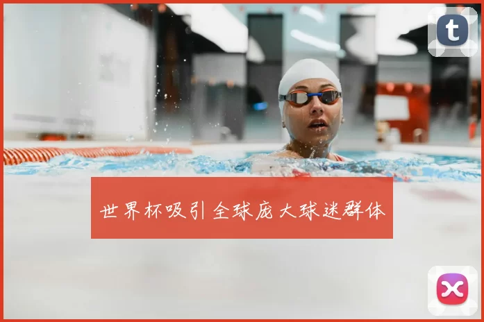 世界杯吸引全球庞大球迷群体
