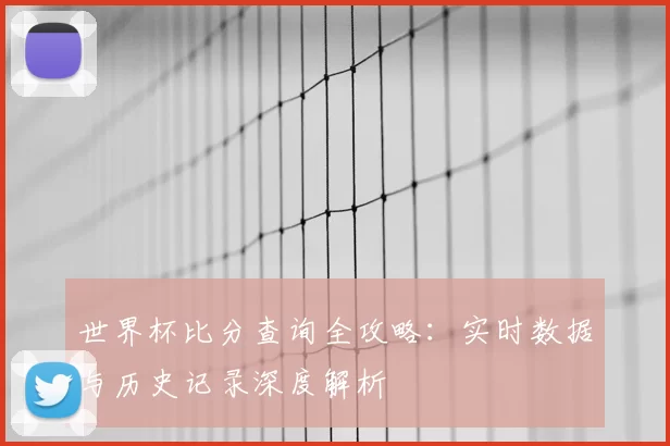 世界杯比分查询全攻略:实时数据与历史记录深度解析