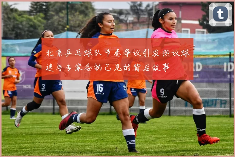 北京乒乓球队节奏争议引发热议球迷与专家各执己见的背后故事