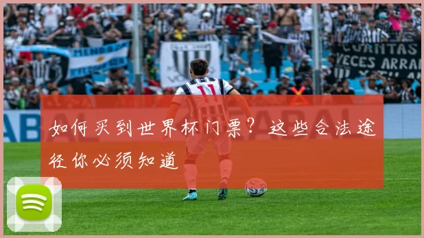 如何买到世界杯门票？这些合法途径你必须知道